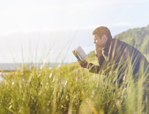 5 libros esenciales para leer este verano